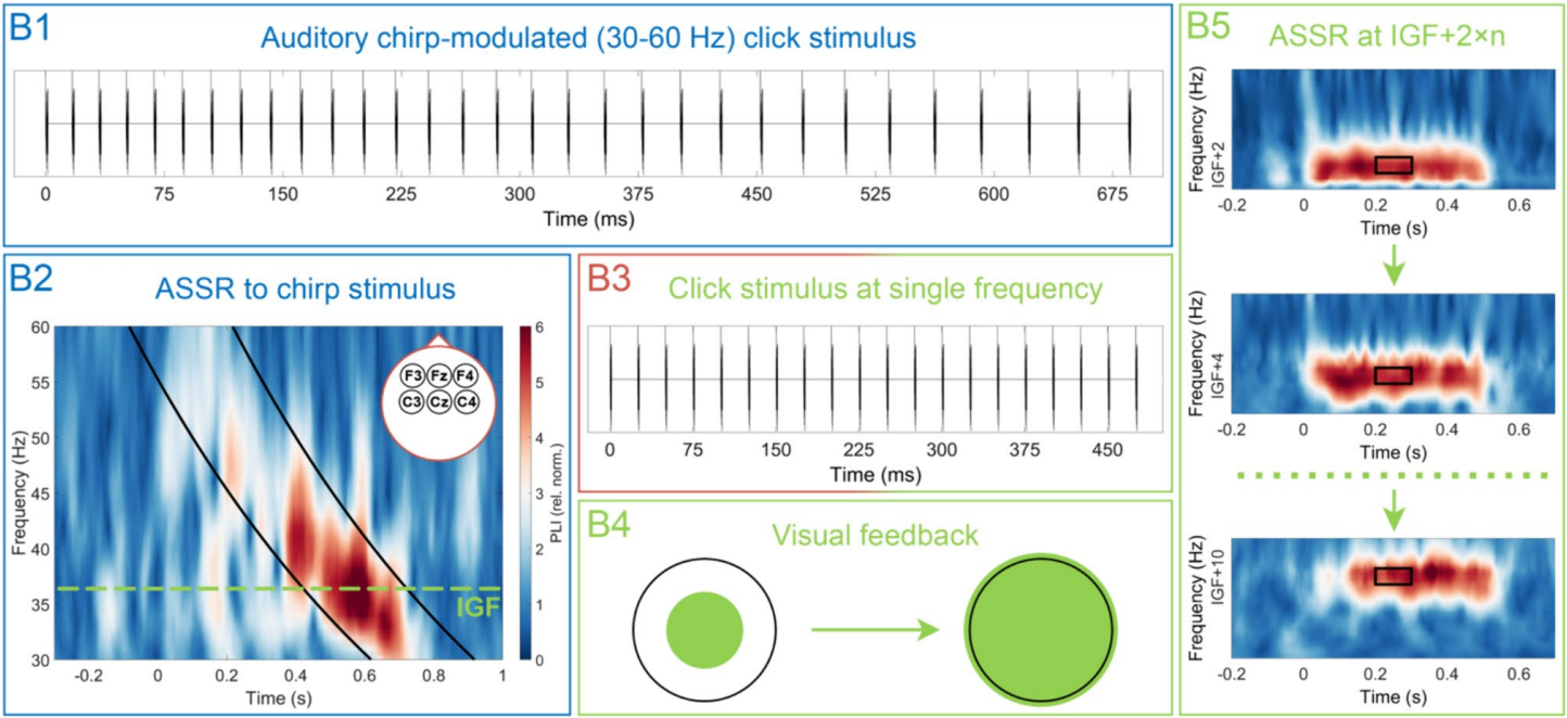 Details on different session stages, including auditory stimuli and brain responses
